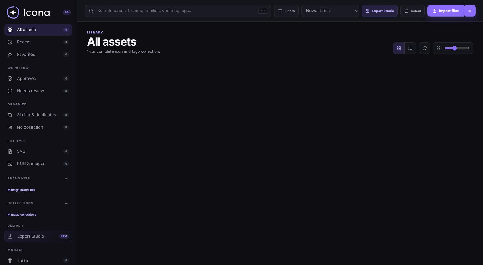 Icona application interface showing the sidebar, search bar, filters, and asset library